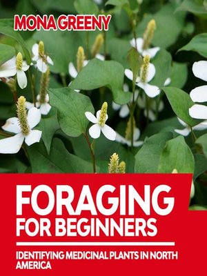 cover image of Foraging For Beginners